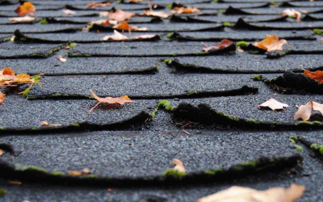 Does Your Home Need a New Roof?