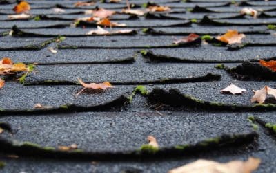 Does Your Home Need a New Roof?
