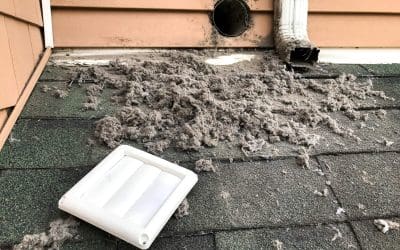 Essential Home Maintenance Homeowners Shouldn’t Neglect