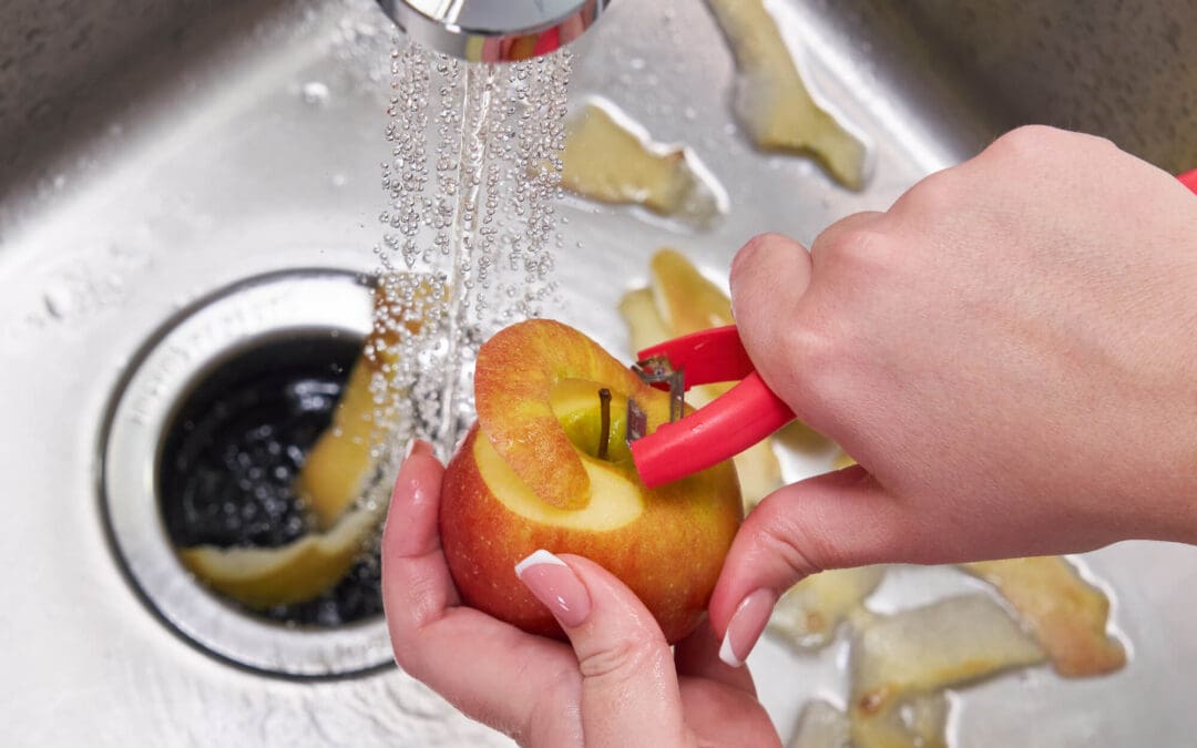 Keep It Running: Garbage Disposal Tips Every Homeowner Should Know